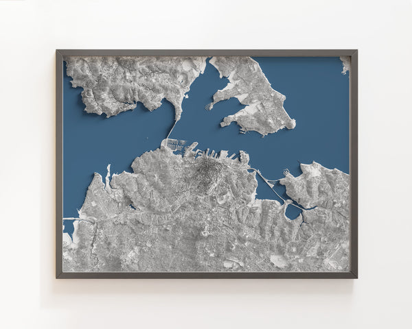 Auckland New Zealand Lidar Shaded Relief