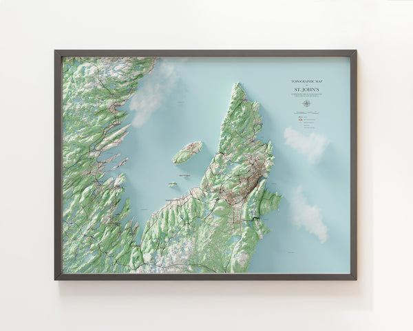 St. John's Topographic Map