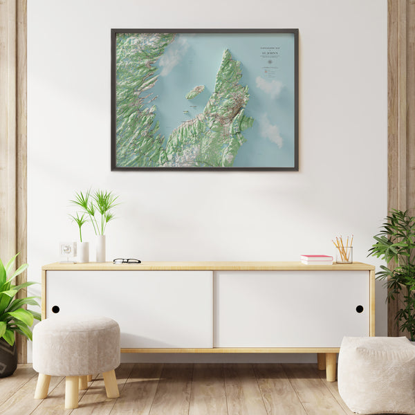 St. John's Topographic Map