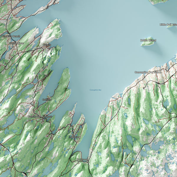 St. John's Topographic Map