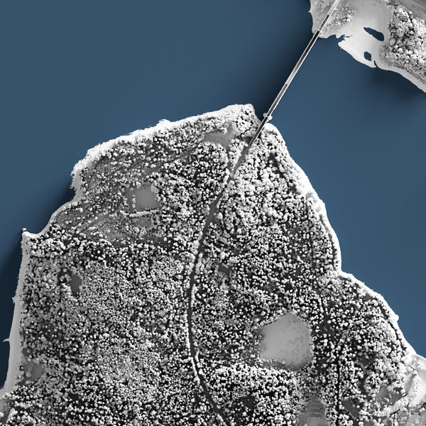 Vancouver Detailed Shaded Relief