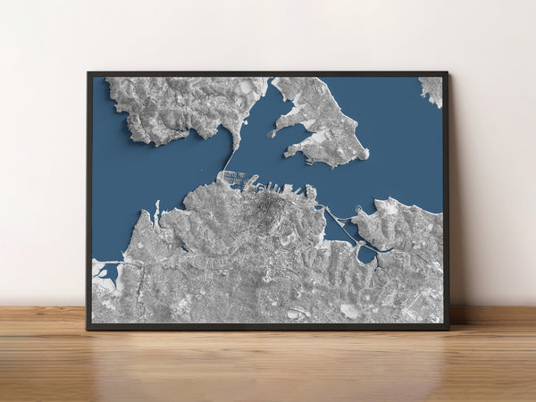 Auckland New Zealand Lidar Shaded Relief