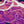 Fraser River Vivid Map