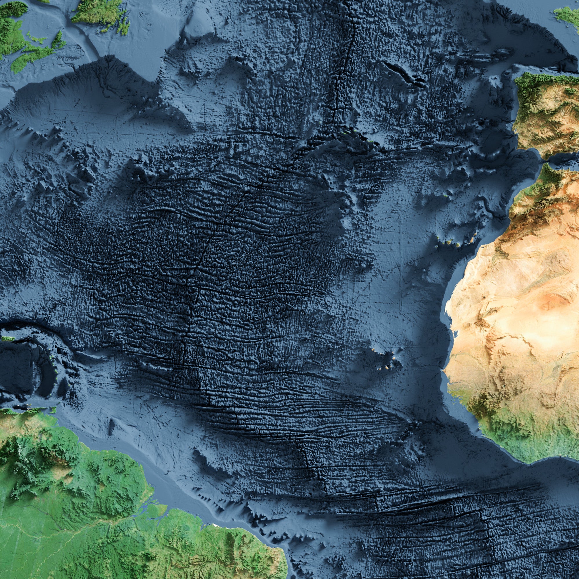 Mid-Atlantic Ridge Shaded Relief – Visual Wall Maps Studio