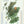 Scotch Whisky Distilleries of Scotland
