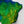 Load image into Gallery viewer, Brazil Shaded Relief Colourized (Flag Colours)
