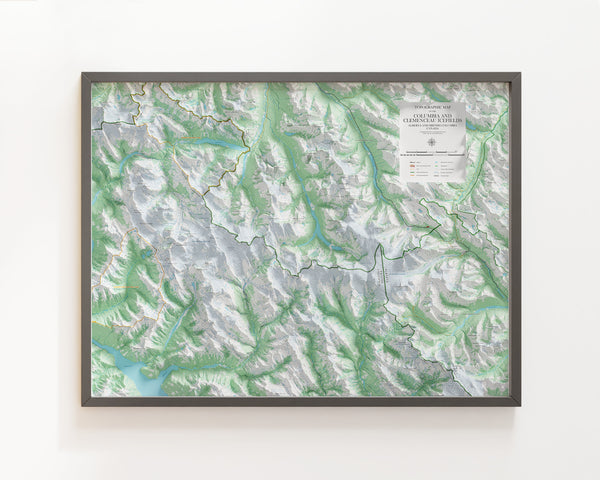 Columbia and Clemenceau Icefields Topographic Map
