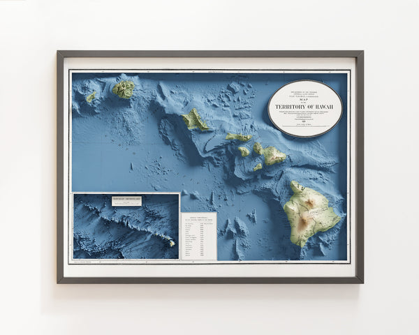 Hawaii Vintage Topographic Map (c.1918)