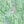 Load image into Gallery viewer, Okanagan Valley Topographic Map
