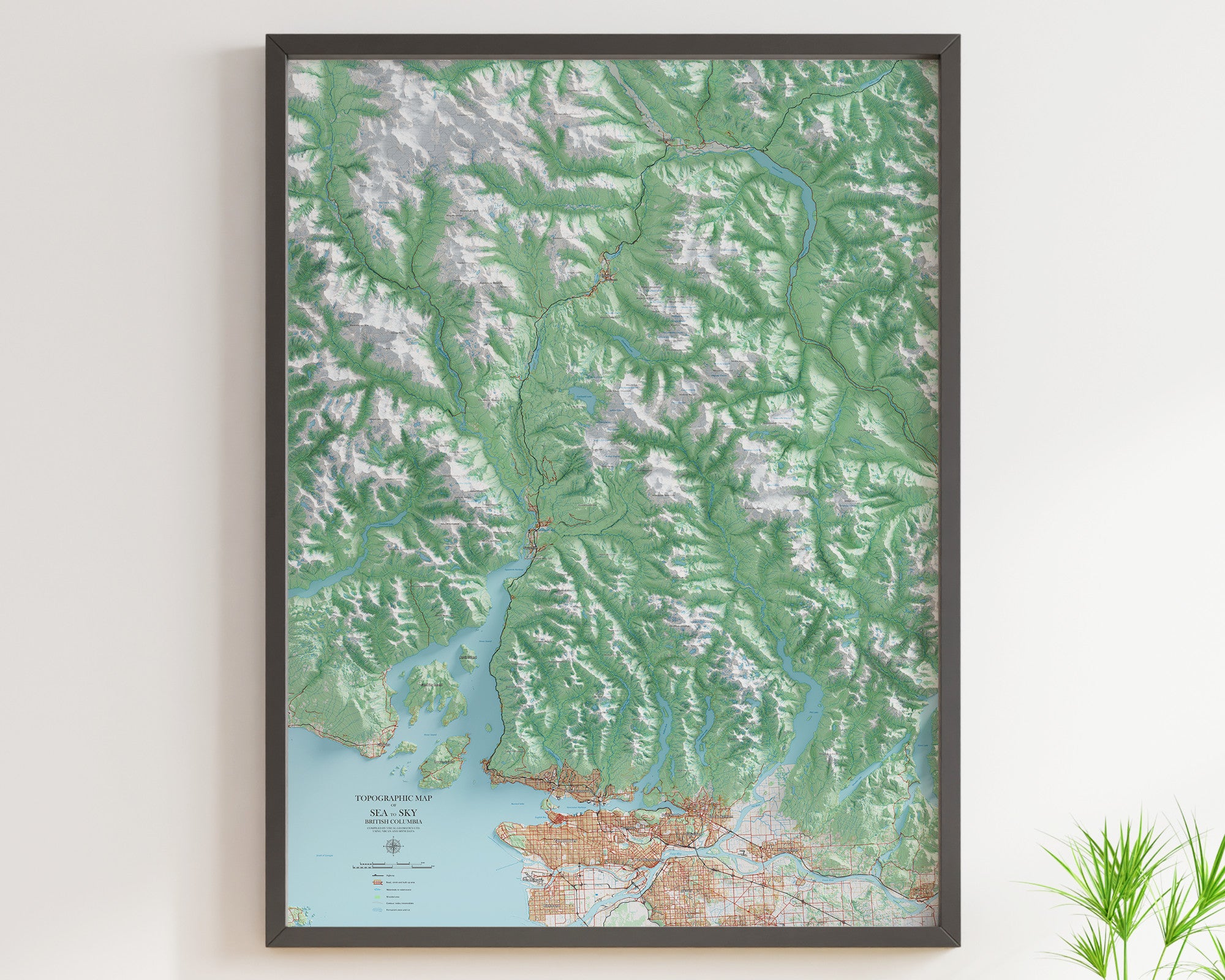 Modern Topographic Maps – Visual Wall Maps Studio