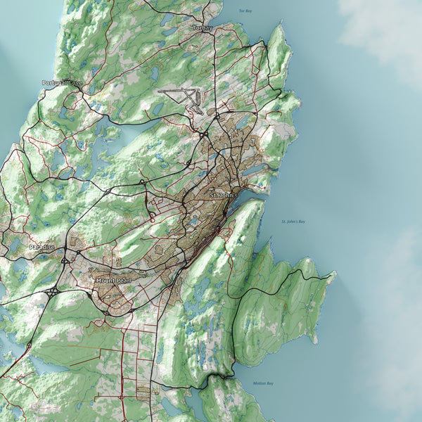 St. John's Topographic Map