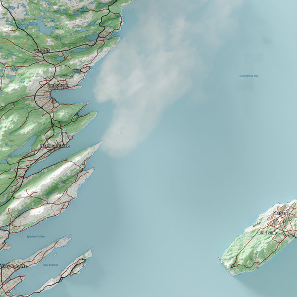 St. John's Topographic Map